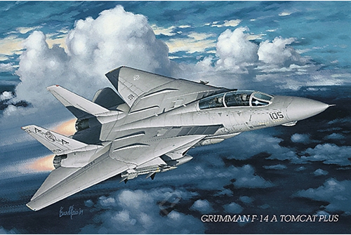 Grumman F-14 Tomcat 