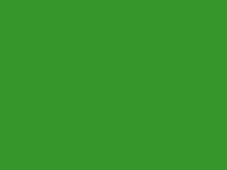 Emerald Green Sail Fabric #309