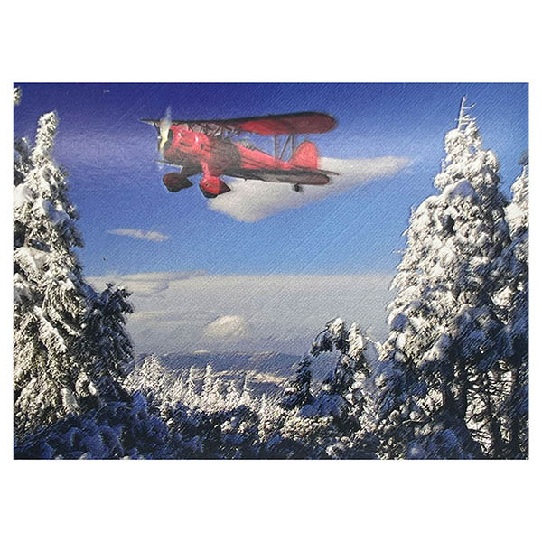 Red Biplane Winter Greeting Cards Box Of 12