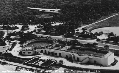 Postcard Airplane Flying Over Marine Studios