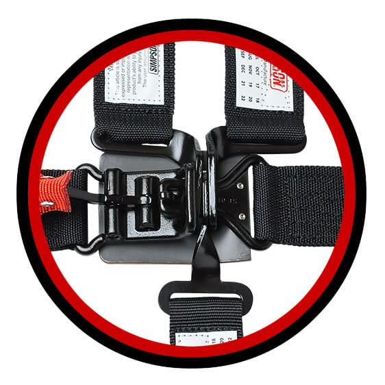 5 point restraint system