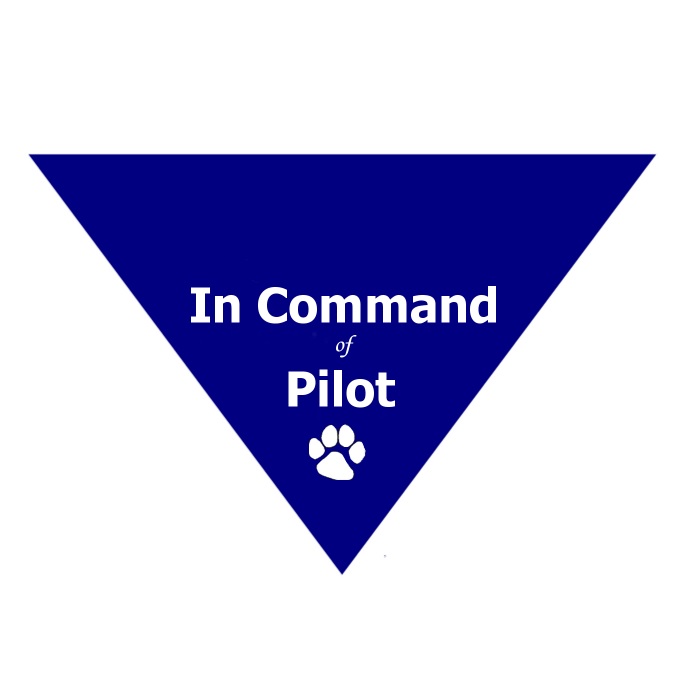 Pet Bandana - In Command Of Pilot - Blue