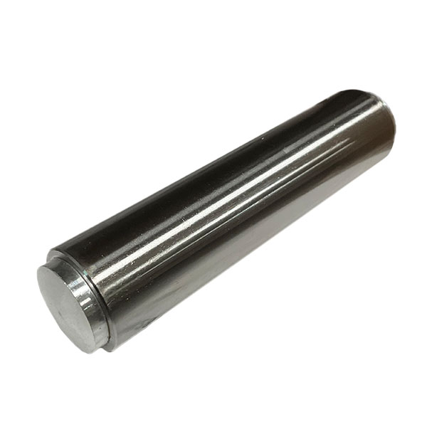 TCM Pin & Plug Asm-Piston 629690