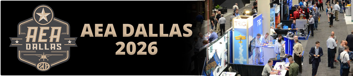 AEA 2024