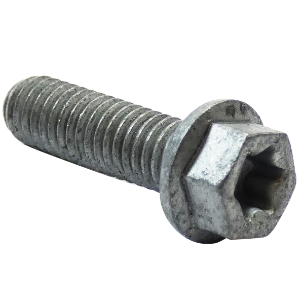 Rotax 440-207 Hex./Torx-Flange Screw M6X20-Sw8/T30